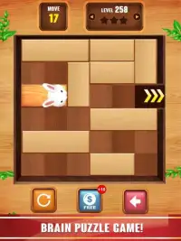 Unblock Puzzle Wood Game Screen Shot 3