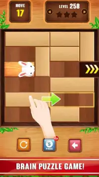 Unblock Puzzle Wood Game Screen Shot 7