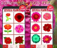Zinnia Flowers Color By Number-Pixel Art Screen Shot 0