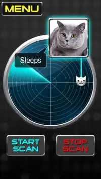 Radar What Makes Cat Joke Screen Shot 1