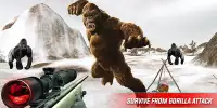 Angry King kong Attack-Wild Animal Shooting Screen Shot 5