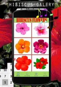 Hibiscus Flowers Color By Number-Pixel Art Screen Shot 2