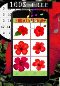 Hibiscus Flowers Color By Number-Pixel Art Screen Shot 4