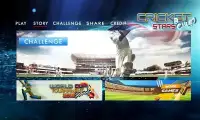 Cricket Stars Bowled Screen Shot 3