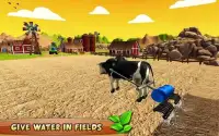 Bull Farming Village Farm 3D Screen Shot 7