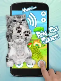 Talking Cat Funny Kitten Sound Screen Shot 2