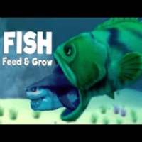Hunting for fish feed and grow guide