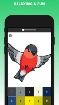 Birds Pixel Art - Birds Color by Number Screen Shot 1