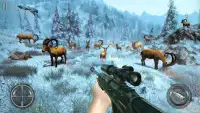 Wild Deer Hunter : deer shooting games Screen Shot 4