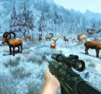 Wild Deer Hunter : deer shooting games Screen Shot 0