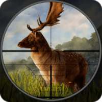 Wild Deer Hunter : deer shooting games