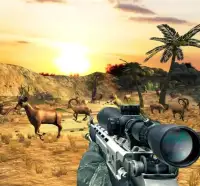 Wild Deer Hunter : deer shooting games Screen Shot 2