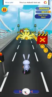 Animal Road Run And Surf Screen Shot 2