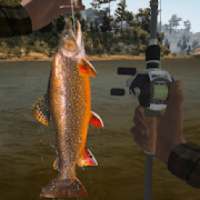 Bass Fishing Hunt 3D - catching fish game