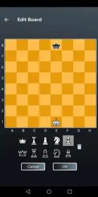 Andro Chess Play & Learn Screen Shot 3