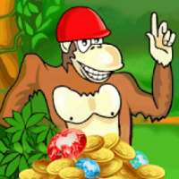 Crazy Monkey - Favorite Game