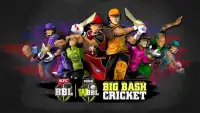Big Bash Cricket Screen Shot 0
