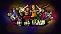 Big Bash Cricket Screen Shot 8