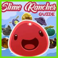 Guide for Slime Rancher New Tips