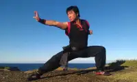 Learn Kung Fu Training 2019 Screen Shot 5