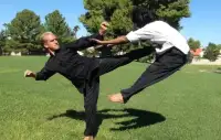Learn Kung Fu Training 2019 Screen Shot 1