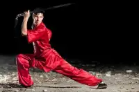 Learn Kung Fu Training 2019 Screen Shot 4