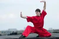Learn Kung Fu Training 2019 Screen Shot 0