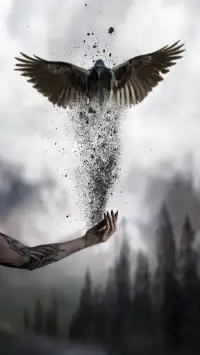 Owl War 3D Screen Shot 2