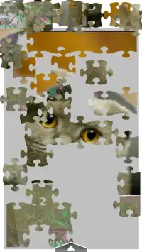 Kittens Jigsaw Puzzles FREE Screen Shot 3