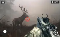 Real Sniper Shooting Animal Hunting Screen Shot 2