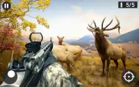 Real Sniper Shooting Animal Hunting Screen Shot 3