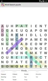 Word Search Puzzle : Search in Word Screen Shot 6
