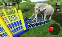 Wild Animal Zoo Transporter 3D Truck Driving Game Screen Shot 3