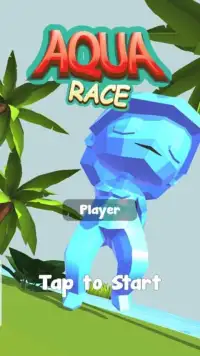 Fun Run Aqua Race 3D Game Screen Shot 5