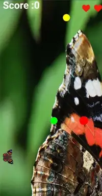 Red Butterfly Screen Shot 4