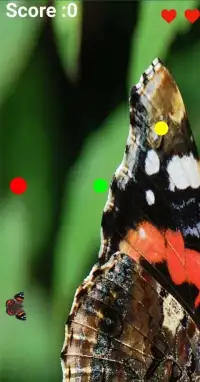 Red Butterfly Screen Shot 0