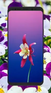 HD 3D Flower Wallpapers 4K background Screen Shot 9