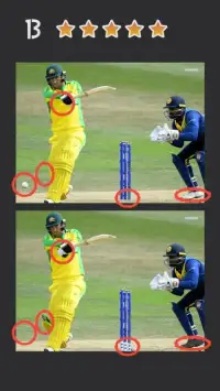 Spot the Differences - Cricket World Cup 2019 Screen Shot 1