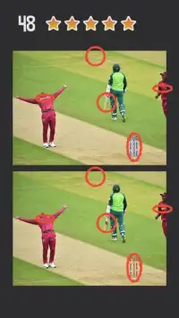 Spot the Differences - Cricket World Cup 2019 Screen Shot 4