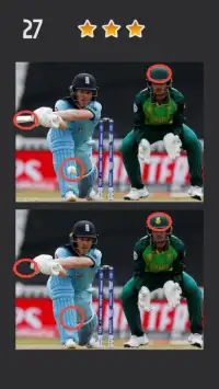 Spot the Differences - Cricket World Cup 2019 Screen Shot 3