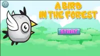 A Bird In The Forest Screen Shot 2