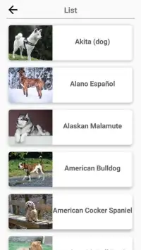 Dog Breeds - Quiz about all dogs of the world! Screen Shot 4