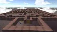 3D Maze Pro Screen Shot 0