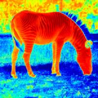 Thermal Night Vision: Best Thermal Night Vision