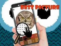 Owl Color By Number - Pixel Art Screen Shot 5