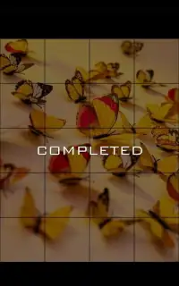 Beautiful Butterfly Jigsaw Puzzle Game Screen Shot 3