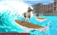 Dog Surfing Championship California 2019 Screen Shot 1