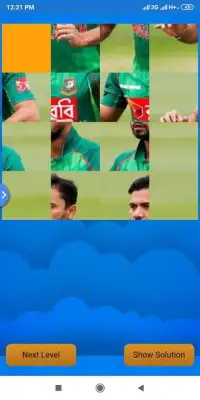 Cricket Puzzle Screen Shot 4