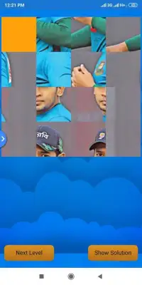 Cricket Puzzle Screen Shot 0