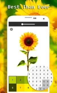 Sunflower Color By Number - Pixel Art Screen Shot 5